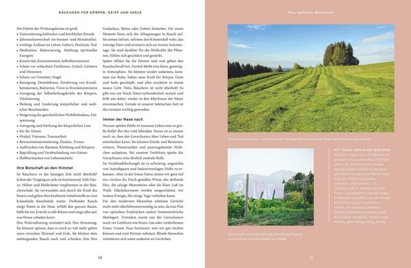 Produktbild: Heilsames R&auml;uchern mit Wildpflanzen