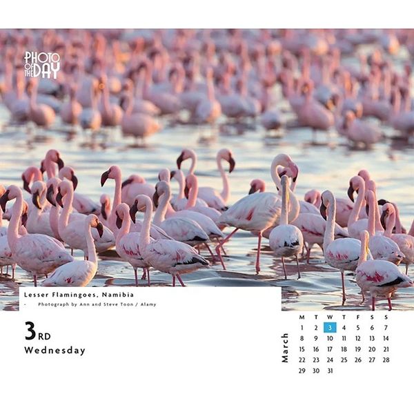 Produktbild: Photo of the Day &ndash; Foto des Tages 2027