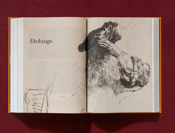 Produktbild: Rembrandt