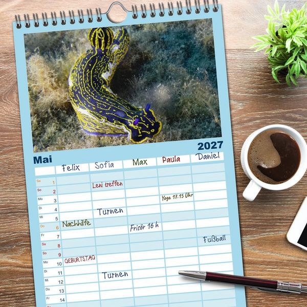Produktbild: Familienplaner 2027 - Faszination blaue Unterwasserwelt mit 5 Spalten (Wandkalender, 21 x 45 cm) CALVENDO