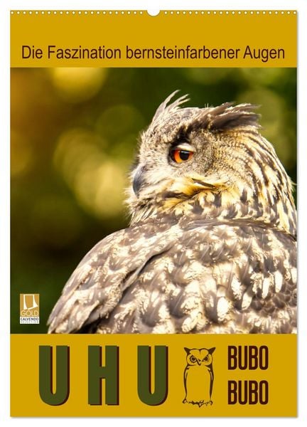 Produktbild: Uhu, die Faszination bernsteinfarbener Augen (Wandkalender 2026 DIN A2 hoch), CALVENDO Monatskalender