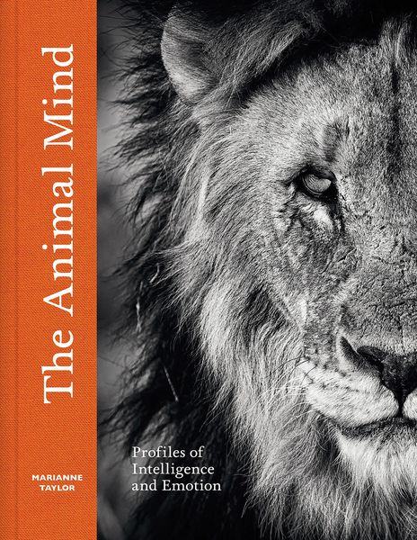 Produktbild: The Animal Mind