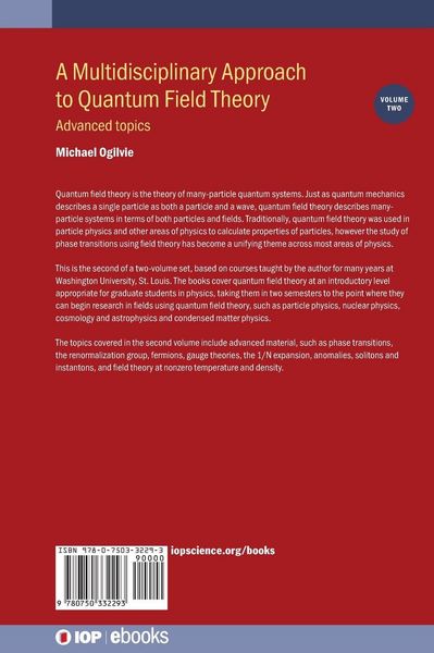Produktbild: A Multidisciplinary Approach to Quantum Field Theory, Volume 2