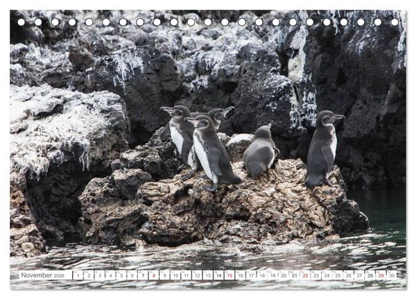 Produktbild: Galapagos. Verzauberte Inseln (Tischkalender 2026 DIN A5 quer), CALVENDO Monatskalender
