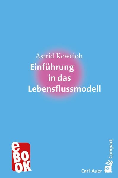 Produktbild: Einführung in das Lebensflussmodell