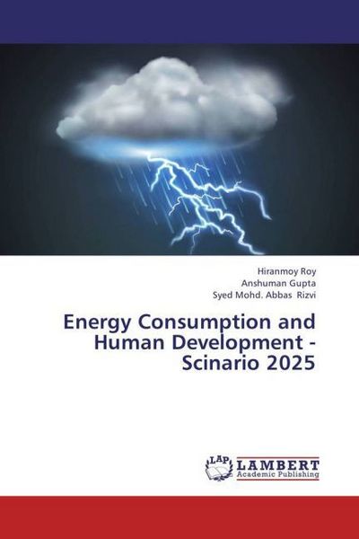 Produktbild: Roy, H: Energy Consumption and Human Development - Scinario