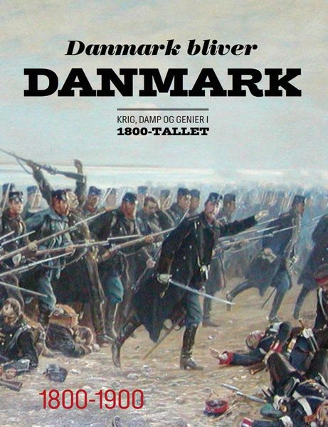 Produktbild: Danmark bliver Danmark