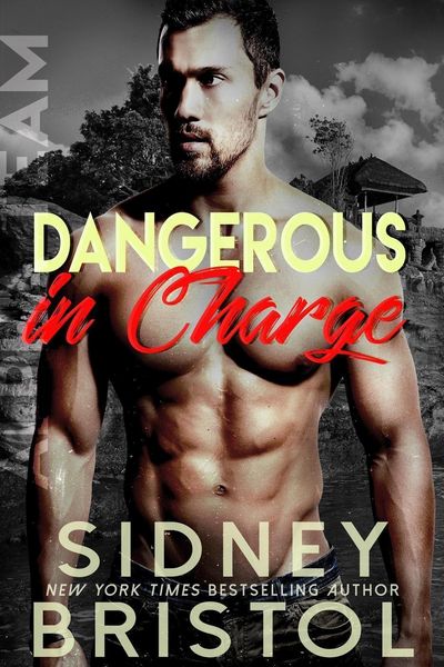 Produktbild: Dangerous in Charge (Aegis Group Alpha Team, #5)