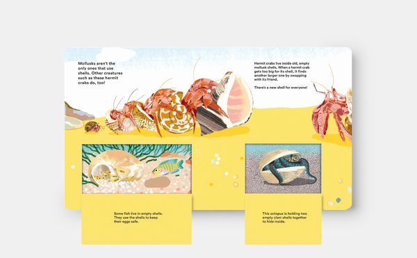 Produktbild: Shells... and what they hide inside
