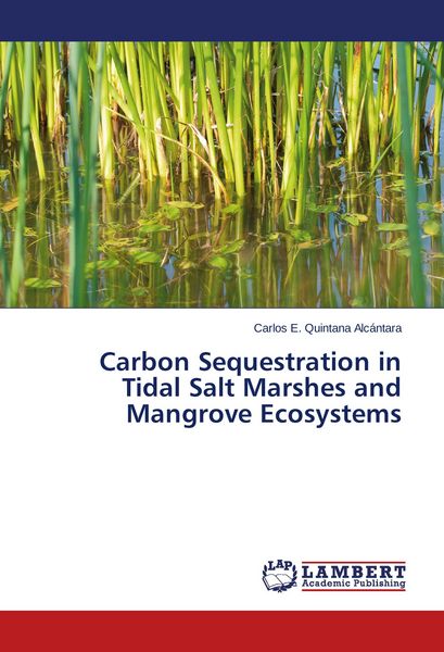 Produktbild: Carbon Sequestration in Tidal Salt Marshes and Mangrove Ecosystems