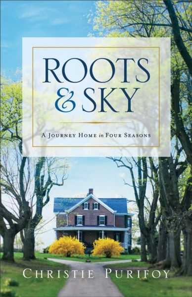 Produktbild: Roots and Sky