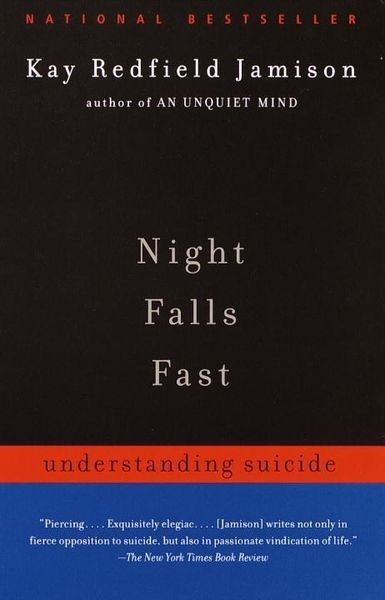 Produktbild: Night Falls Fast