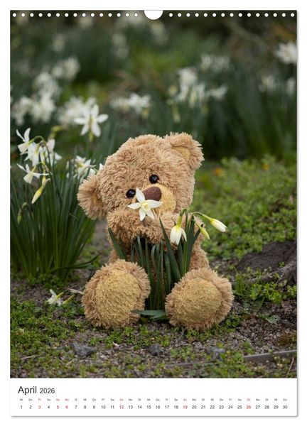 Produktbild: Travelling Teddy liebt Blumen und Bl&uuml;ten (Wandkalender 2026 DIN A3 hoch), CALVENDO Monatskalender