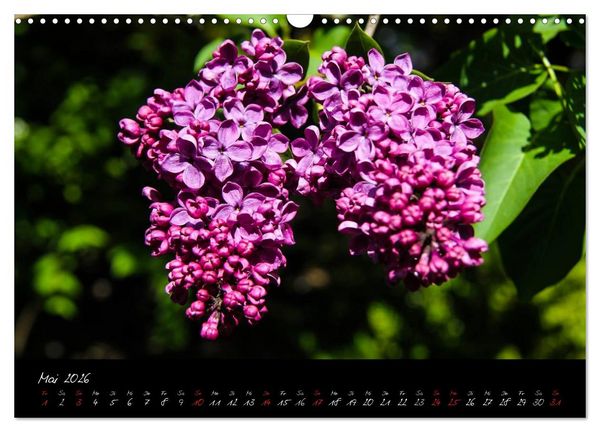 Produktbild: Butchart Gardens 2026 (Wandkalender 2026 DIN A3 quer), CALVENDO Monatskalender