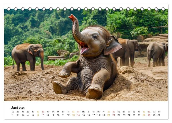 Produktbild: Elefanten Kinder - kleine Riesen (Tischkalender 2026 DIN A5 quer), CALVENDO Monatskalender