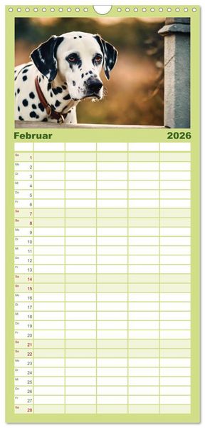 Produktbild: Familienplaner 2026 - Dalmatiner - freundliche Temperamentsbolzen mit 5 Spalten (Wandkalender, 21 x 45 cm) CALVENDO