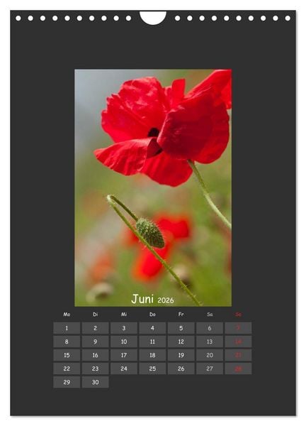Produktbild: Mohn (Wandkalender 2026 DIN A4 hoch), CALVENDO Monatskalender