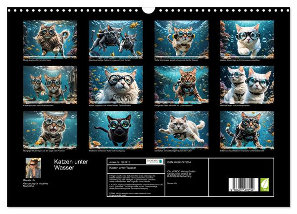 Produktbild: Katzen unter Wasser (Wandkalender 2026 DIN A3 quer), CALVENDO Monatskalender