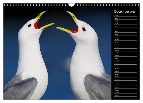 Produktbild: North America's Wildlife (Wall Calendar 2026 DIN A3 landscape), CALVENDO 12 Month Wall Calendar