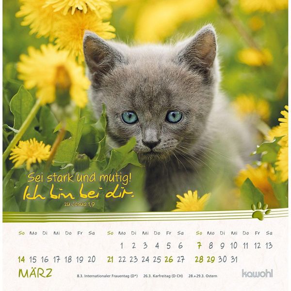 Produktbild: Kleine Katzen-Tatzen 2027
