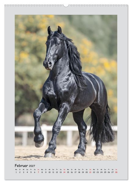 Produktbild: Friesenpferde. Schwarze Eleganz in der Natur (Wandkalender 2027 DIN A2 hoch), CALVENDO Monatskalender