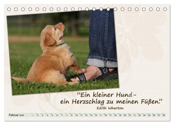 Produktbild: Mit Hundezitaten gut durchs Jahr (Tischkalender 2026 DIN A5 quer), CALVENDO Monatskalender