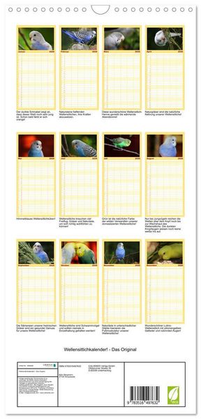 Produktbild: Familienplaner 2026 - Wellensittichkalender! - Das Original mit 5 Spalten (Wandkalender, 21 x 45 cm) CALVENDO