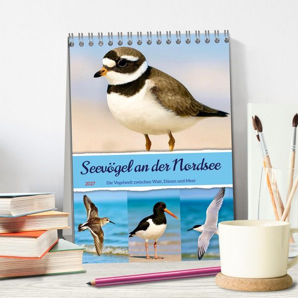Produktbild: Seev&ouml;gel an der Nordsee (Tischkalender 2027 DIN A5 hoch), CALVENDO Monatskalender