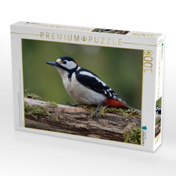 Produktbild: CALVENDO Puzzle Buntspecht / Dendrocopos major / Great Spotted Woodpecker | 1000 Teile Lege-Gr&ouml;&szlig;e 64x48cm Foto-Puzzle f&uuml;r gl&uuml;ckliche Stunden