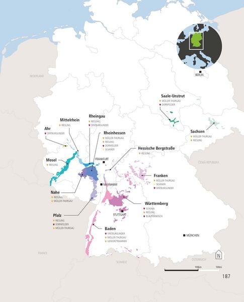 Produktbild: Der ultimative Wein-Guide
