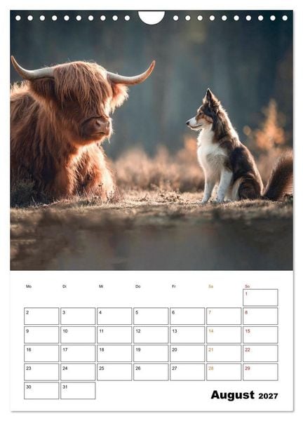 Produktbild: Ein Herz und eine Schnauze - Ein tierisch buntes Miteinander (Wandkalender 2027 DIN A4 hoch), CALVENDO Monatskalender