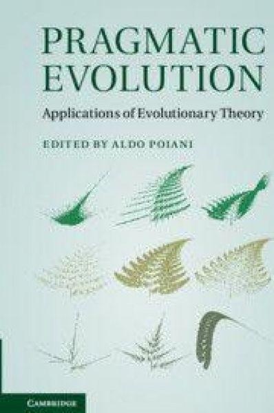 Produktbild: Pragmatic Evolution