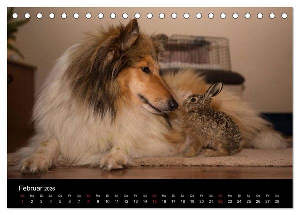Produktbild: Ziva und ihre Freunde (Tischkalender 2026 DIN A5 quer), CALVENDO Monatskalender