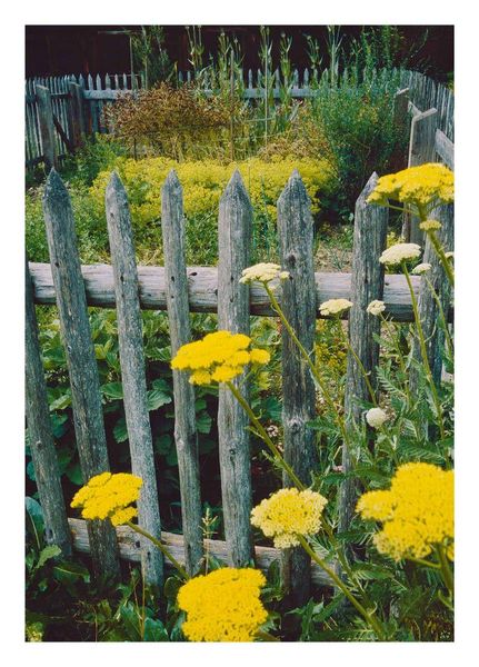 Produktbild: Bauerng&auml;rten