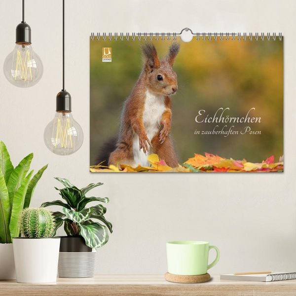 Produktbild: Eichh&ouml;rnchen in zauberhaften Posen (Wandkalender 2026 DIN A4 quer), CALVENDO Monatskalender