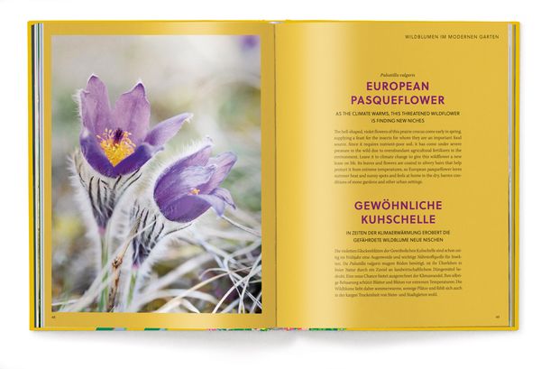 Produktbild: Floramour: Wildblumen