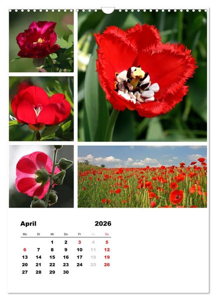 Produktbild: Bl&uuml;ten Collagen (Wandkalender 2026 DIN A3 hoch), CALVENDO Monatskalender