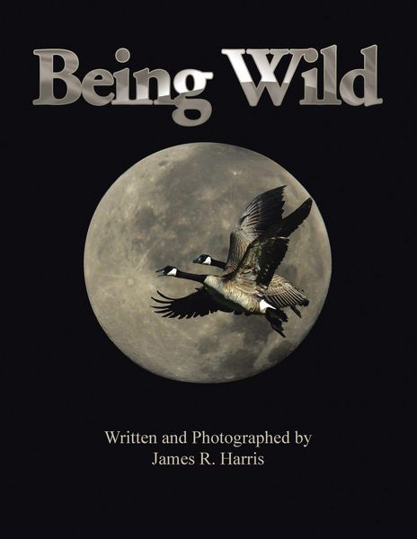 Produktbild: Being Wild