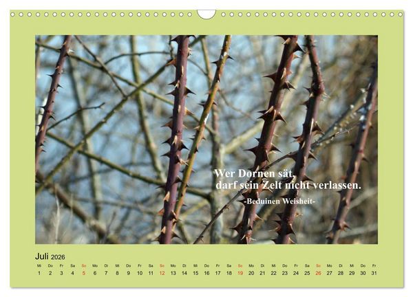 Produktbild: Lebensweisheiten mit Bildern unterlegt (Wandkalender 2026 DIN A3 quer), CALVENDO Monatskalender