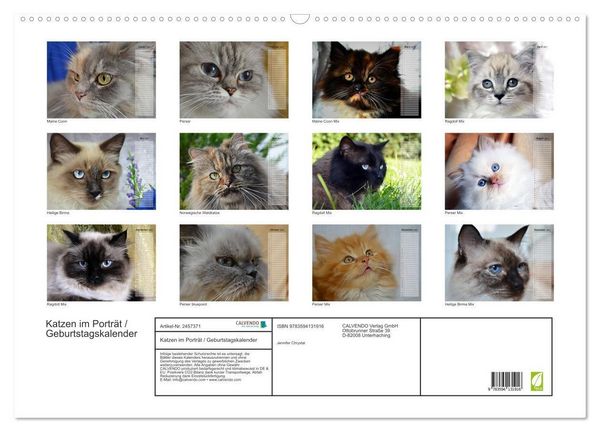 Produktbild: Katzen im Portr&auml;t / Geburtstagskalender (Wandkalender 2027 DIN A2 quer), CALVENDO Monatskalender