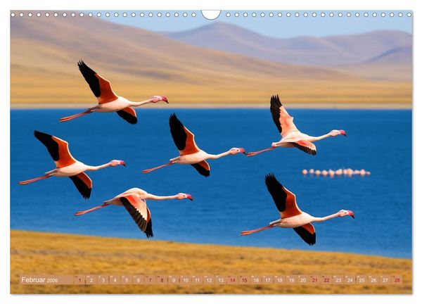 Produktbild: &Uuml;ber dem Vogelflug (Wandkalender 2026 DIN A3 quer), CALVENDO Monatskalender