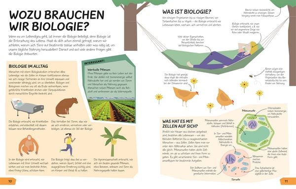 Produktbild: Wozu eigentlich Naturwissenschaften?