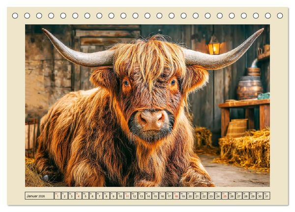 Produktbild: Schottische Hochlandrinder. Zwischen Nebel, Natur und rauer Pracht (Tischkalender 2026 DIN A5 quer), CALVENDO Monatskalender