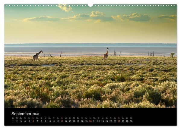 Produktbild: Namibia: Ein Traum von sanftem Licht und unendlicher Weite (hochwertiger Premium Wandkalender 2026 DIN A2 quer), Kunstdruck in Hochglanz