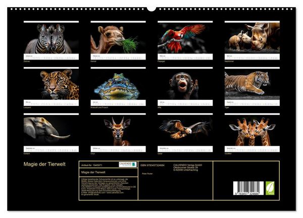 Produktbild: Magie der Tierwelt (hochwertiger Premium Wandkalender 2026 DIN A2 quer), Kunstdruck in Hochglanz