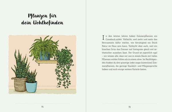 Produktbild: Mein Garten auf der Fensterbank