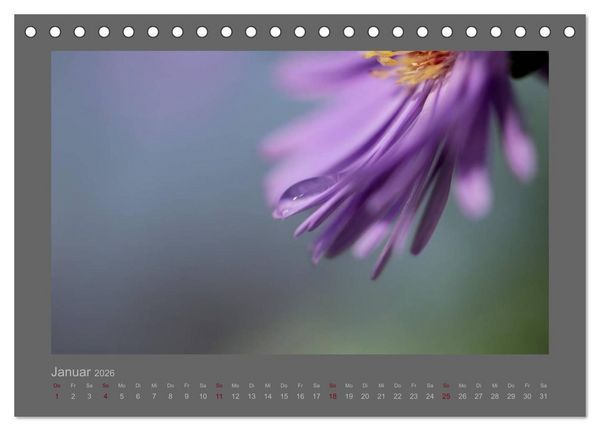 Produktbild: Kleine, gro&szlig;e Tropfenwelt (Tischkalender 2026 DIN A5 quer), CALVENDO Monatskalender