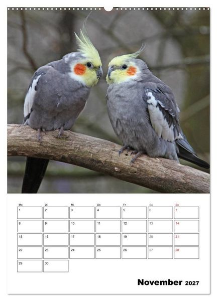 Produktbild: Papageien - Graupapagei, Rosella und Co. (hochwertiger Premium Wandkalender 2027 DIN A2 hoch), Kunstdruck in Hochglanz