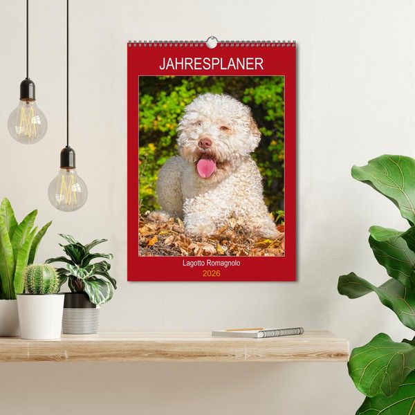 Produktbild: Jahresplaner Lagotto Romagnolo (Wandkalender 2026 DIN A3 hoch), CALVENDO Monatskalender