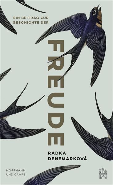Produktbild: Ein Beitrag zur Geschichte der Freude